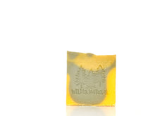 Load image into Gallery viewer, CITRUS & FIR