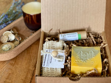 Load image into Gallery viewer, CITRUS & FIR