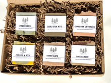 Load image into Gallery viewer, CITRUS & FIR